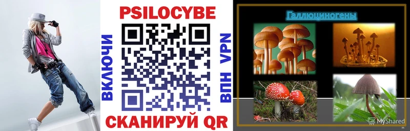 нарко площадка Telegram Курчатов Галлюциногенные грибы мухоморы цены
