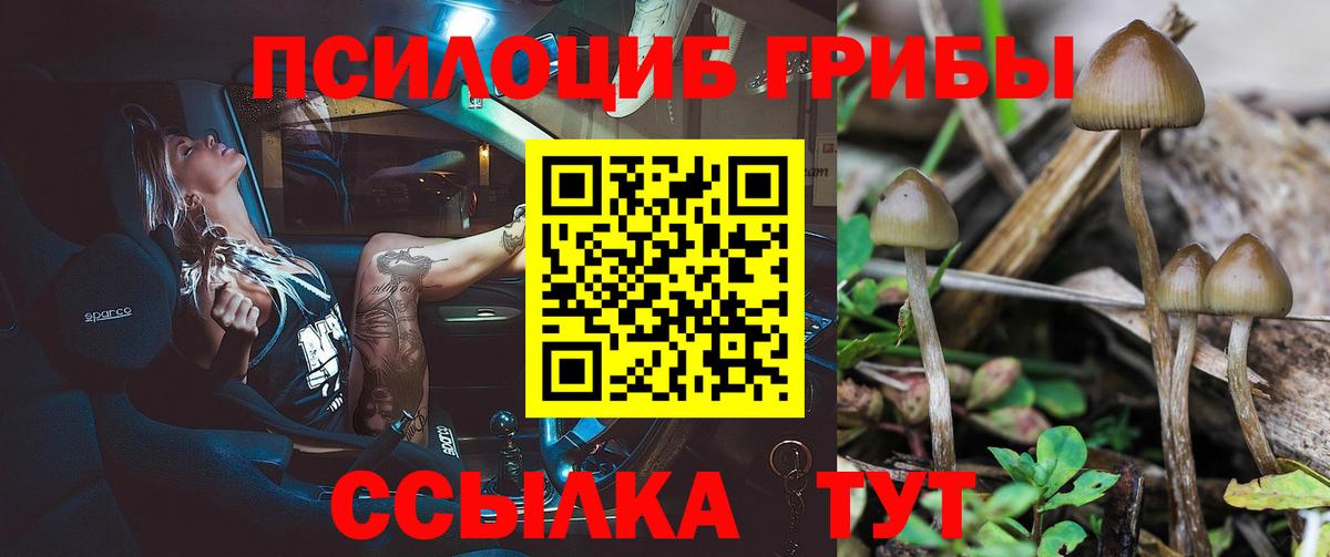Курчатов  Псилоцибиновые грибы ЛСД  Псилоцибиновые грибы GOLDEN TEACHER  Вход с VPN 