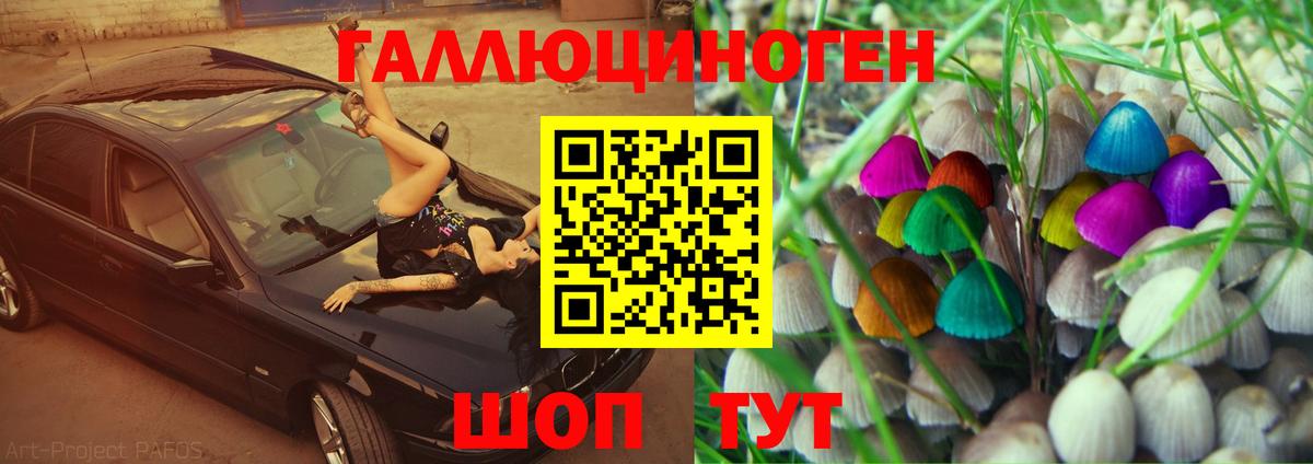 Псилоцибиновые грибы Psilocybine cubensis Курчатов
