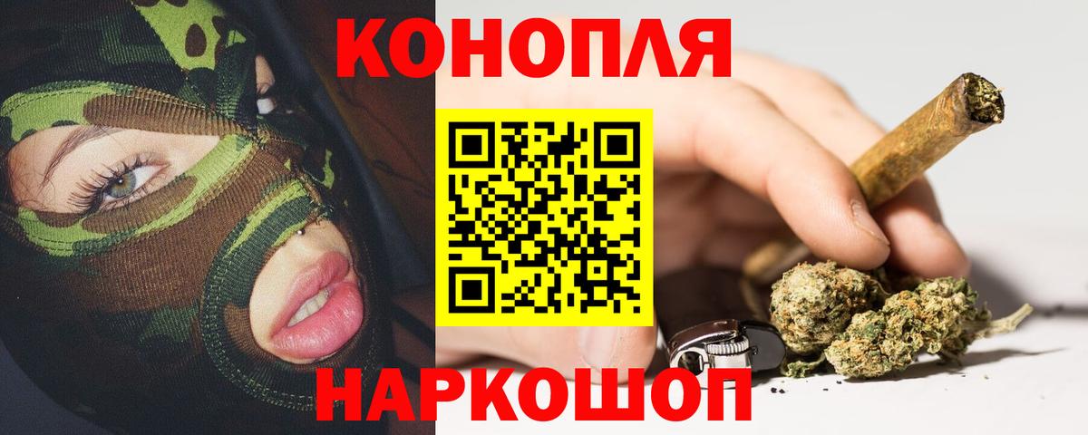 Марихуана план  Вход с VPN  Бошки Шишки планчик  Бошки марихуана тримм  Курчатов 