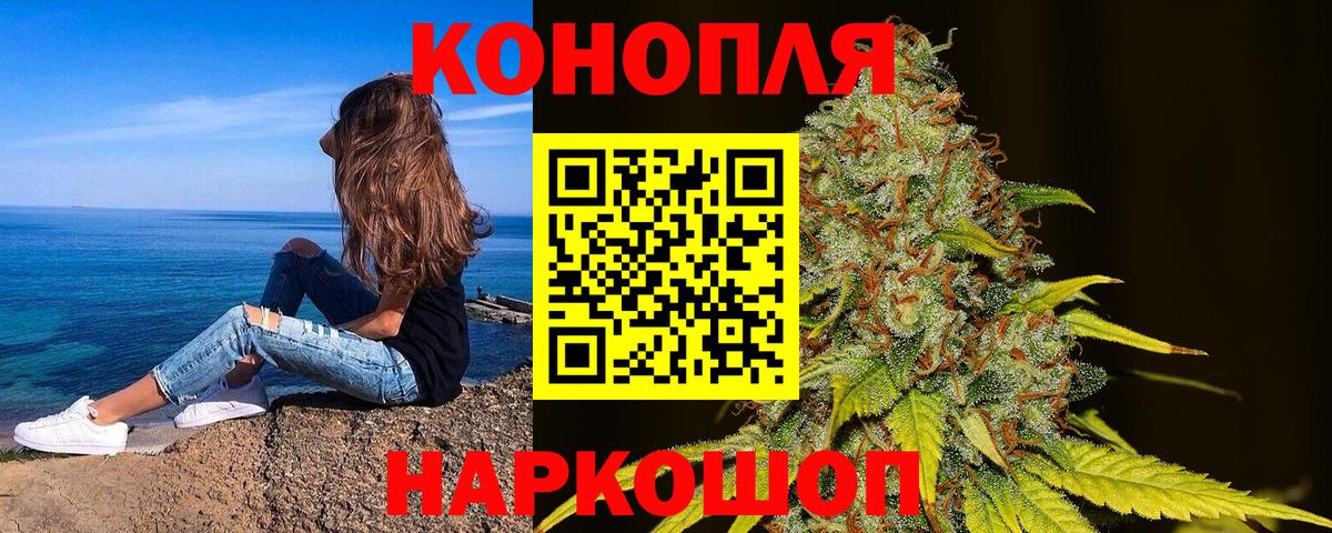 Каннабис ГИДРОПОН Курчатов